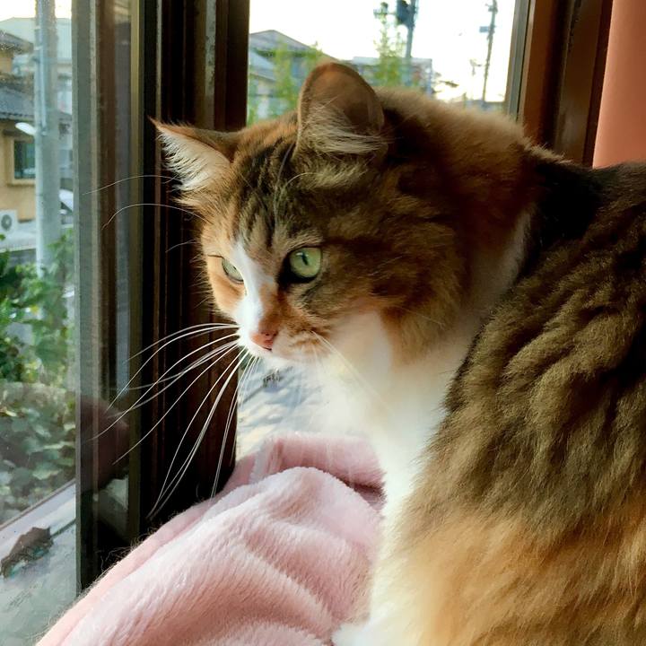 540b09db 405b 43d5 988f bbdf7e4b5f04 1571640947201