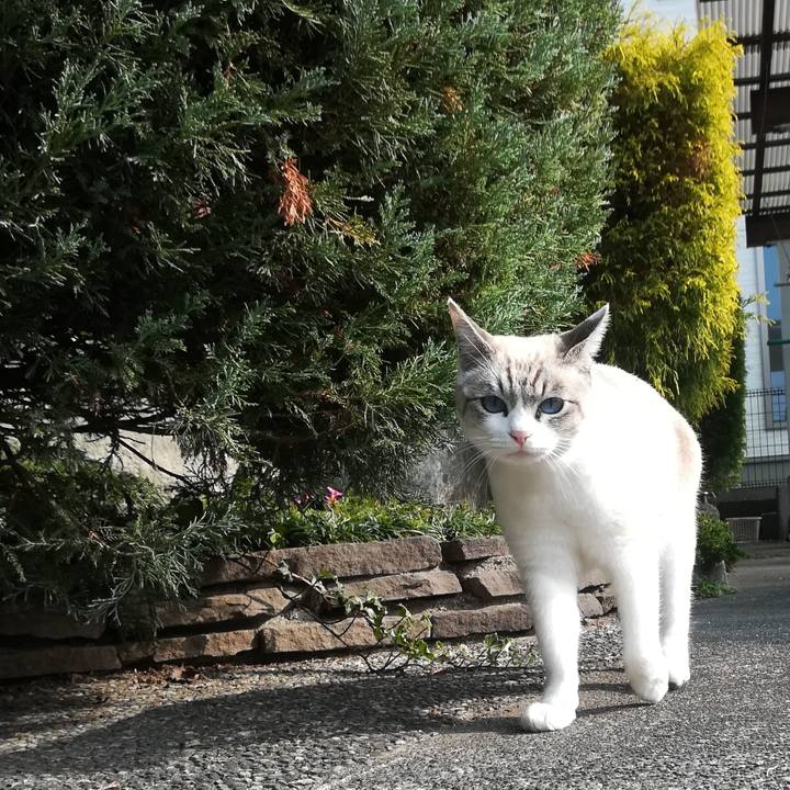 540b10d9 cc1f 419a a230 cd0e1563e236 1543718835272