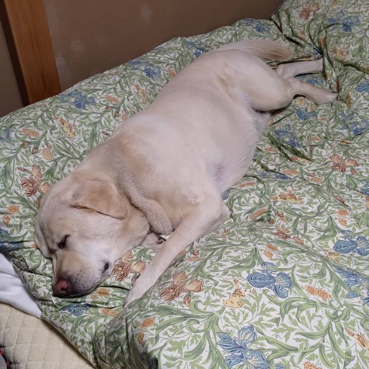 540b17e0 05c4 47df a50f 306e18cfc151 1652187882160