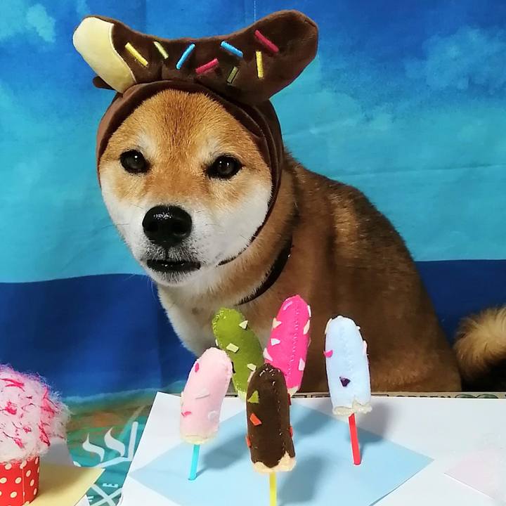 540b4d72 4029 47eb a2da e5ed39a6e8de 1597307816063