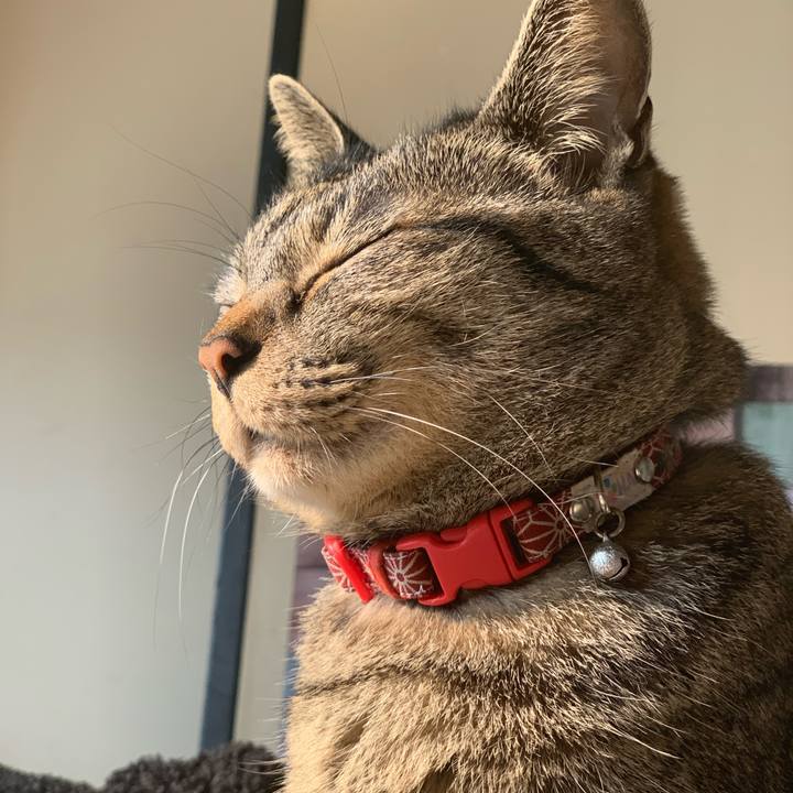 540bb5b4 691e 43b9 8b05 0df552bb7245 1584622649473