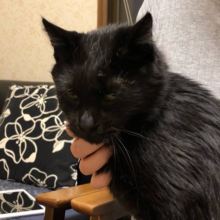 540bf2a1 89ea 4b5e bd23 3020a740ee29 1575494011638