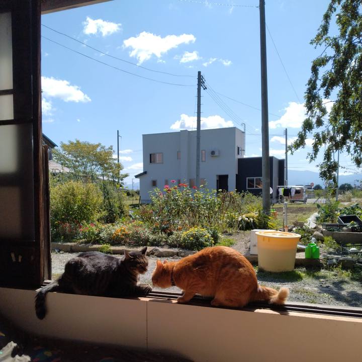 540bf4c8 7d28 490f b493 093446505b16 1696304804673