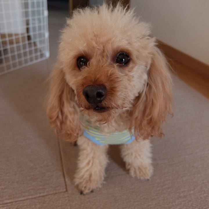 540c0ee7 ac24 4a75 86b5 006ea606128b 1550877300313