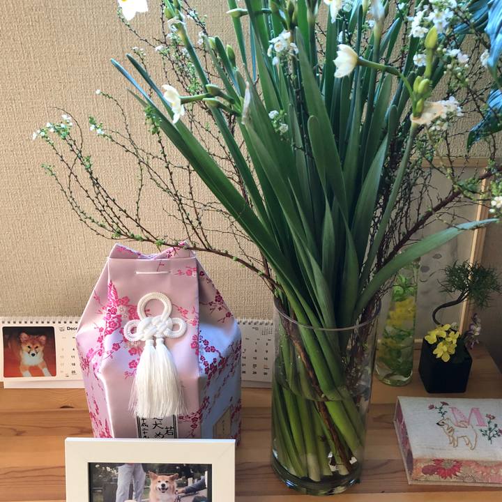 540c1163 a270 4562 8479 6724163a6a7e 1514340588926