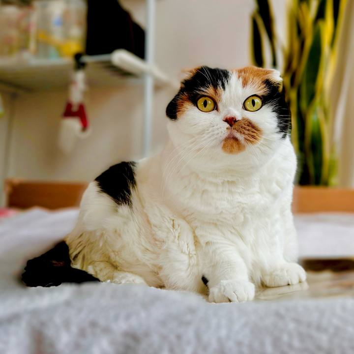 540c2dbc 458a 4ec7 acf3 2edc55ca6282 1696921322879