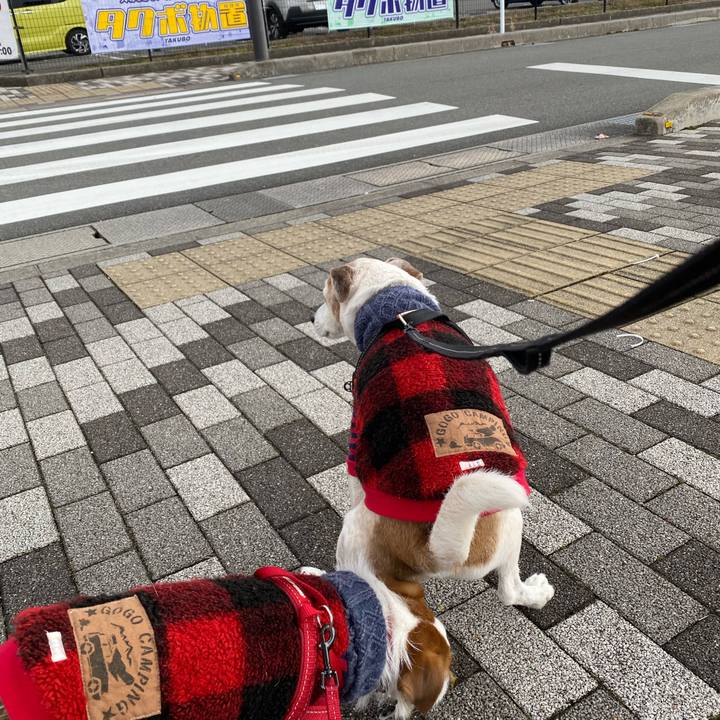 540c355d ef4b 4c06 8875 4c8b9611e96d 1640409705188