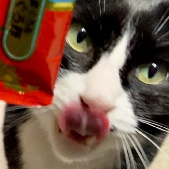 540c5bae 7c34 4593 b4e8 328e1f1800b8 1732786603066