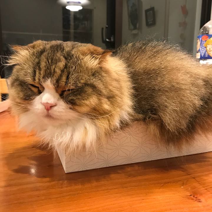 540c6be8 96f9 4cf5 b9f0 57e742c7e805 1528720353934