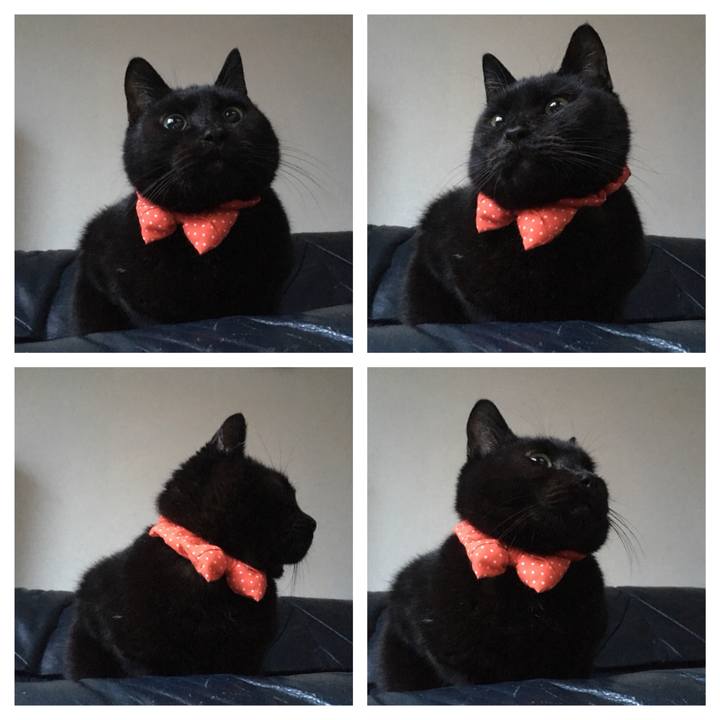 540c7fa7 486a 44d4 a162 48a84c10f2a4 1546899895277