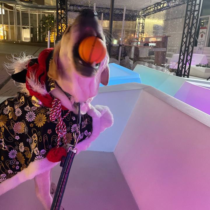 540cbdda 1a13 4147 950f 32bd5536b8d1 1669984365255