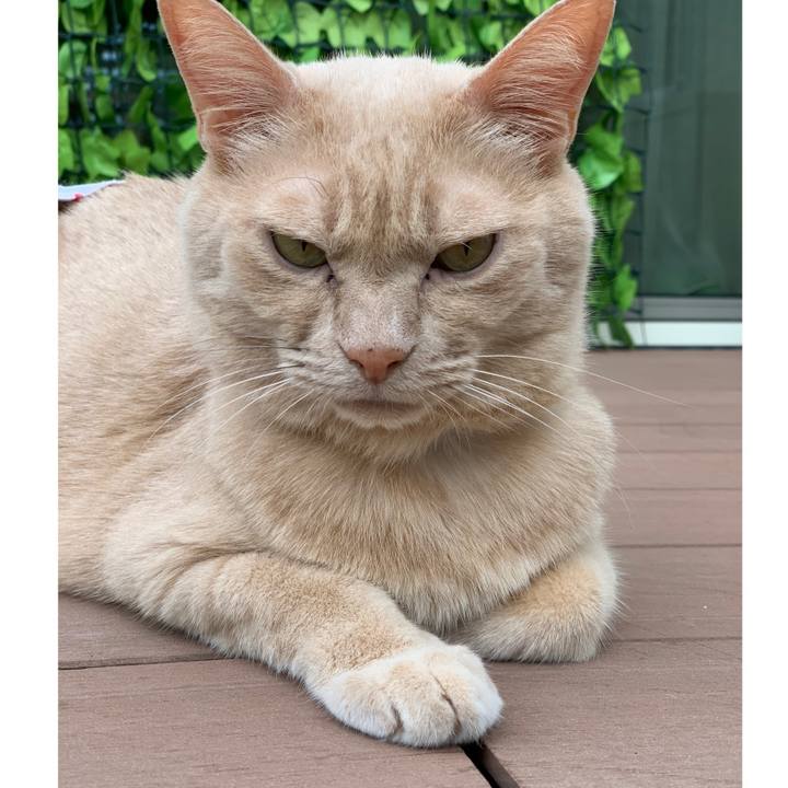 540d206e 7a78 4e77 9b62 ee5cc17c18ca 1592429209399