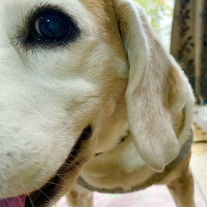 540d3257 0ac0 4984 9cd1 b383d3948fb6 1645677649464