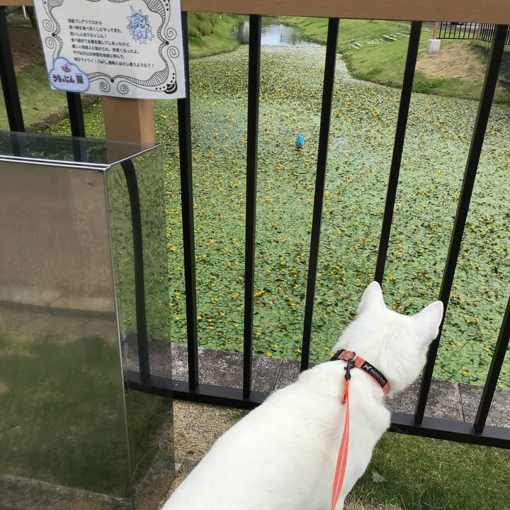 540d4749 4c39 4925 949a 47636d8c1cd2 1527162147447