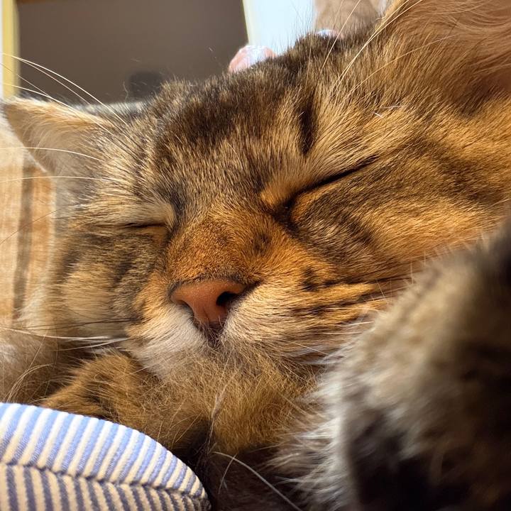 540d4966 4baa 4c4d afb3 f2c45bbf8d3c 1767173999518