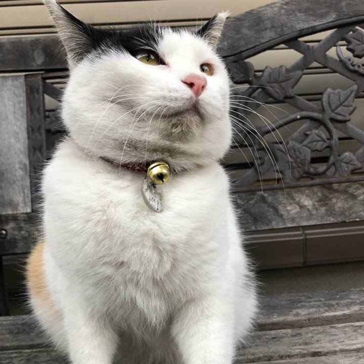 540d4f45 8b7f 41c6 a12f 0ff62a8dbe49 1609575708298