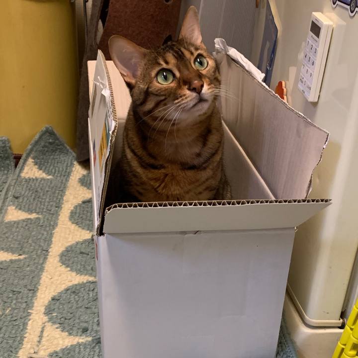 540d75dd 28a0 4ca9 985a 1ebc9d7e05f5 1558916366257