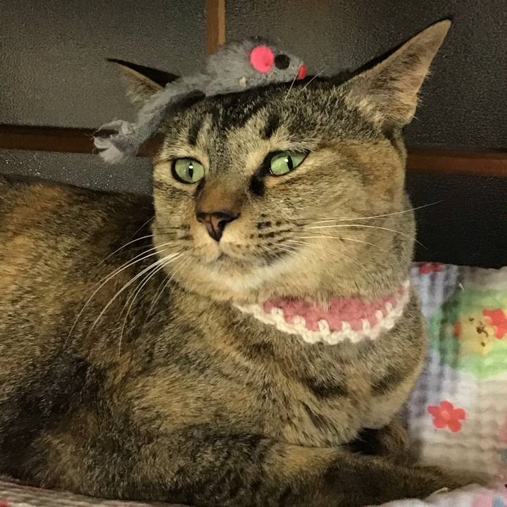 540db6d6 bd69 4f65 9e79 1b4db4b998a5 1655628037261