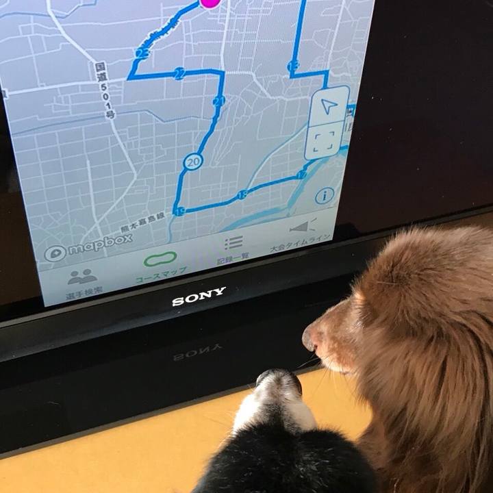 540dbb5f 57a7 4341 82fa 6aad4b714b41 1518919392916