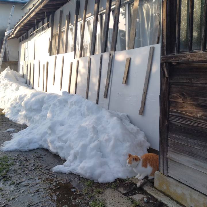 540dde0b ed9e 4a67 9eb0 8f878a3c52b1 1768716774842