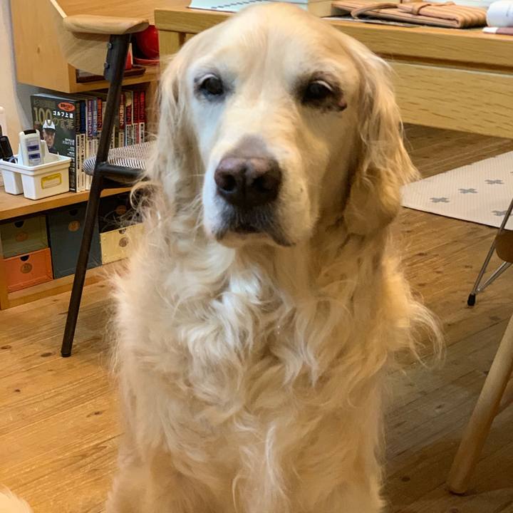 540dfcb9 a75e 4291 b79b c0c2fcd157c3 1556192768086