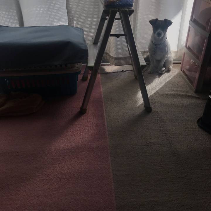 540e1b33 dc6f 470c 81ee 0582a8625bab 1572668237032