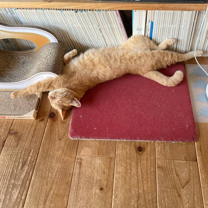 540e2354 e7a7 4882 aabb 4f4644b34177 1756215428637