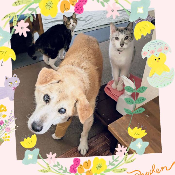 540e5746 89e7 497e 97f1 8846a4cad373 1685068651103