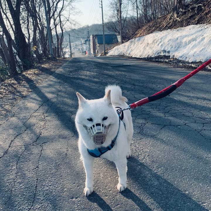 540e7330 376e 4b70 a114 4384a93375ca 1680479208115