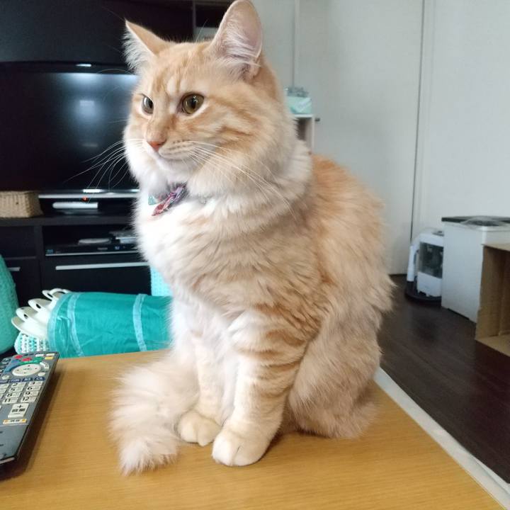 540e8c45 a180 46e5 bc2f 1a1069329975 1635641705269