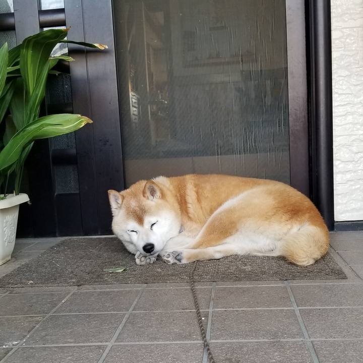 540ee525 c58d 4787 b045 b68356521464 1717541087669