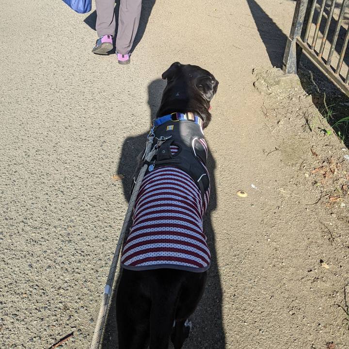 540eea62 567c 444f 936c d72f6b478ace 1660089797568