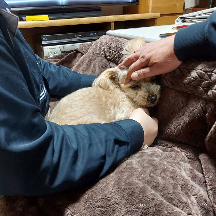 540eecfa 85e0 4aad b42a 8c0dd06de13b 1641035157307