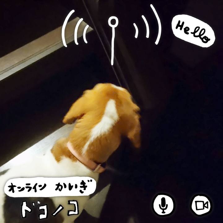 540f1364 5521 469d b29a 6d9c473df906 1593400737790