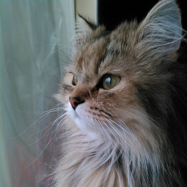 540f4b90 cc43 4399 9ed6 6f0767f2c2ed 1669599514663