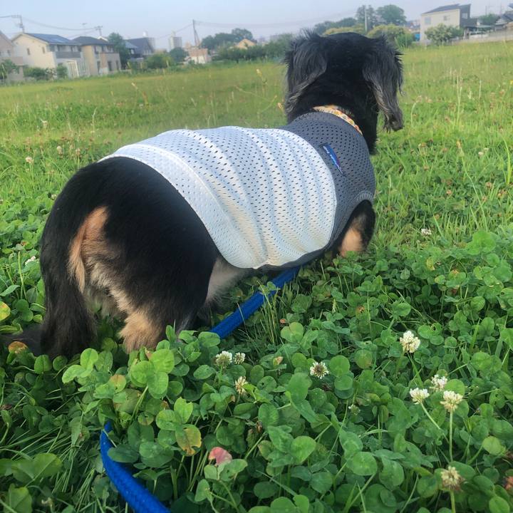 540f7665 9d91 4fc9 a6d7 57bfa29b61d9 1623381452178