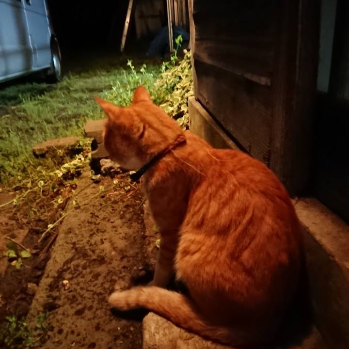 540fa2ec a0c6 46a1 9af9 c7cf8212f314 1567426056496