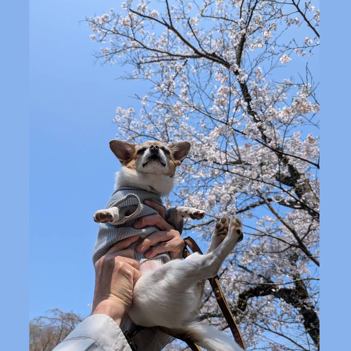 540faa55 0040 4483 8645 ddb07546abfb 1774767512357