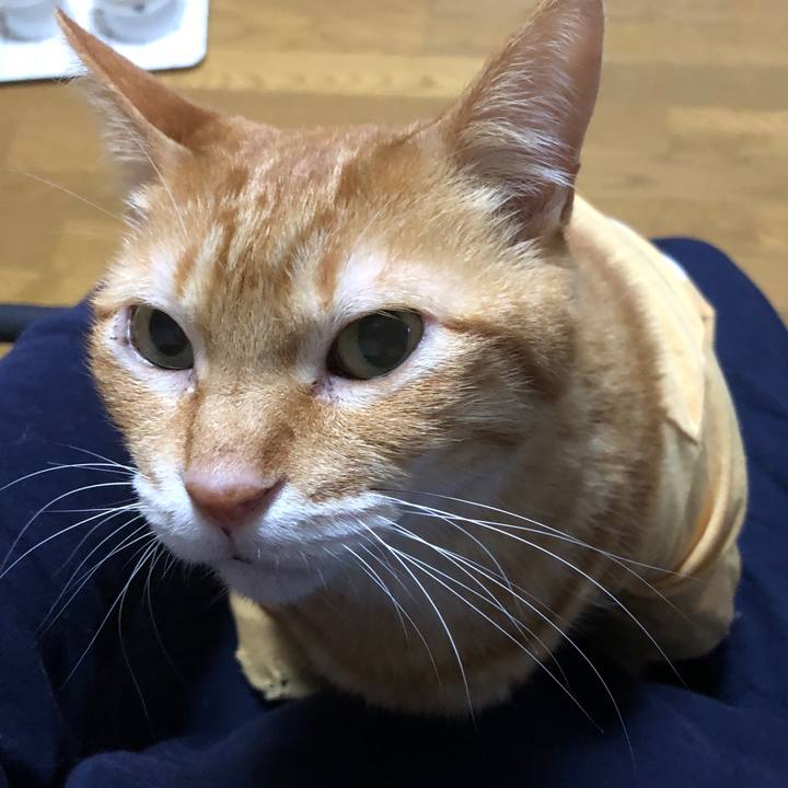 540fdb01 98be 4fe6 9fc5 c8da53e1f993 1719312301558