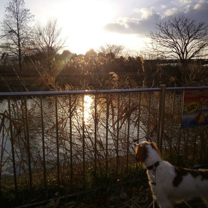 540fe934 0ba9 4a19 95a8 56e511e47eb7 1517224190554