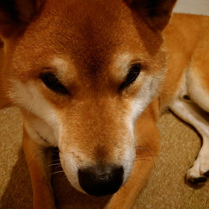 540ffaaf afbf 48a8 a117 48e4648731eb 1767176002132