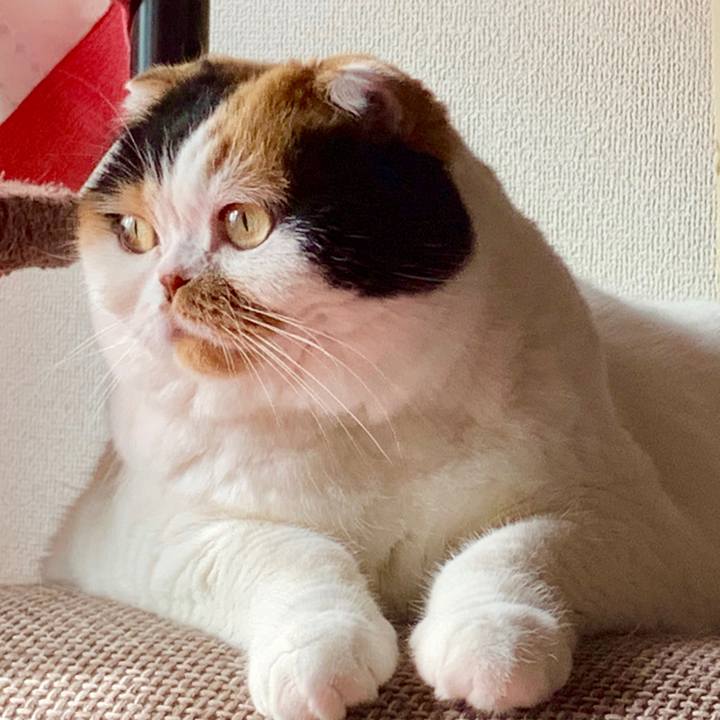 540ffaf2 13d8 4e41 9864 421fd82115f5 1567729992895