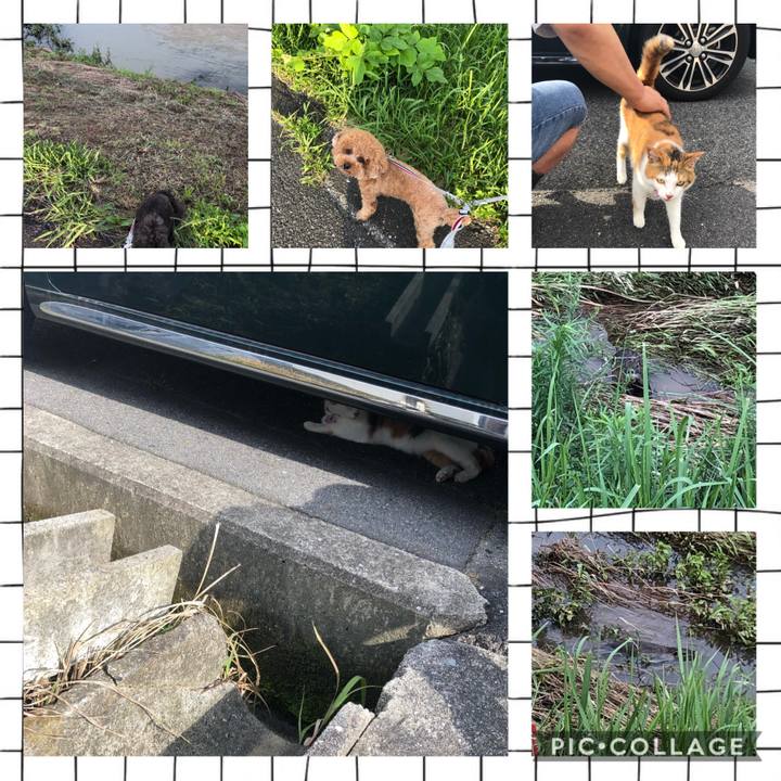 54100783 ec9a 4f99 a768 6959f4378ee7 1594248429569