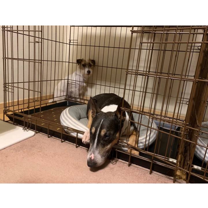 54103058 33b9 4a46 b0a1 ee9be114e680 1599691598633