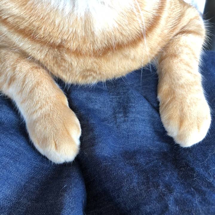 5410384c acce 426e 9484 5450be9a260b 1621057052711