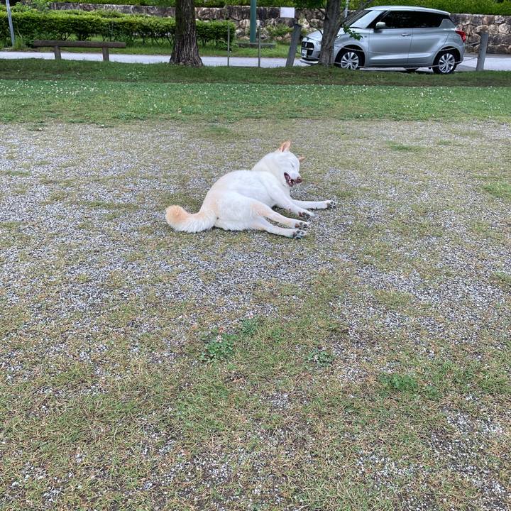 54108909 bf12 411a a5f9 4738ba01d11f 1652279543376