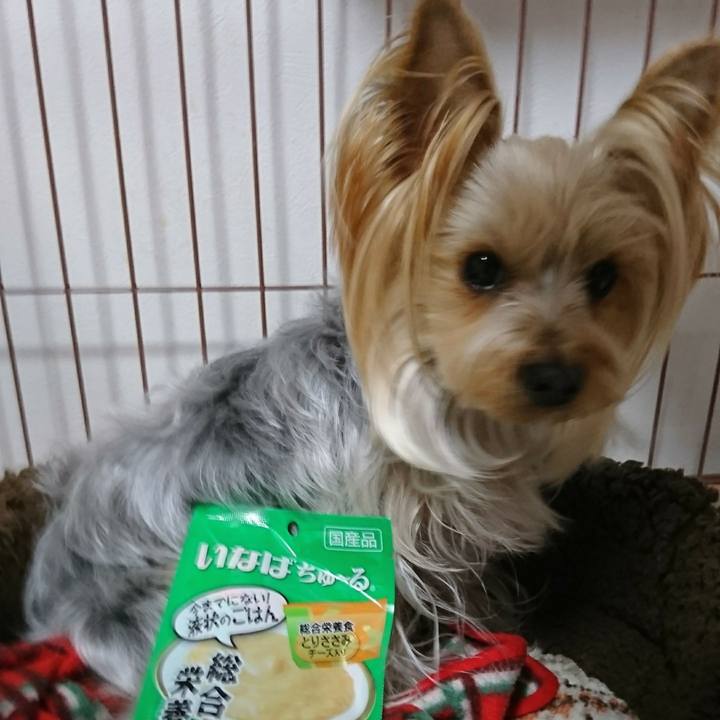 5410b5dc aa93 4795 bd49 a24d245eb37e 1550134183664