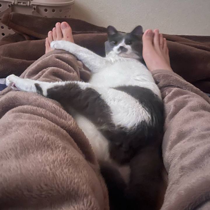 5410e976 a63f 4615 906e 6c392a27dd71 1697580553427