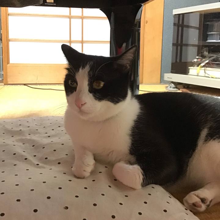 5410ea8b de77 4f86 844d 827a2b1d6a1c 1688644890634