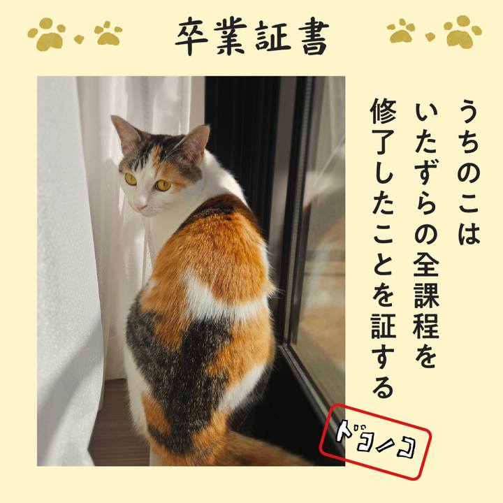 5410f853 a450 44f4 86f0 691003b48f9a 1771914546121